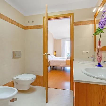 Teide 拉奥罗塔瓦